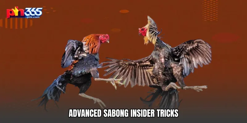 Advanced Sabong Insider Tricks