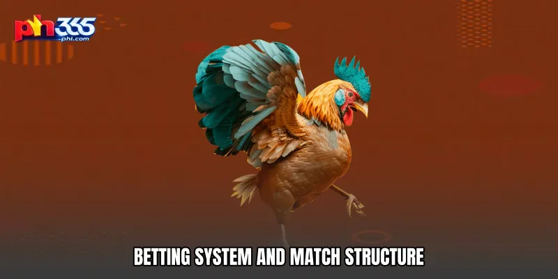 Betting System and Match Structure