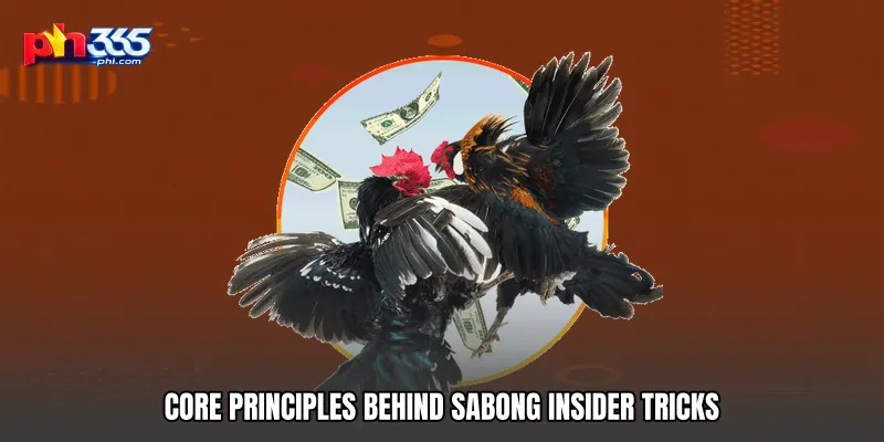 Core Principles Behind Sabong Insider Tricks