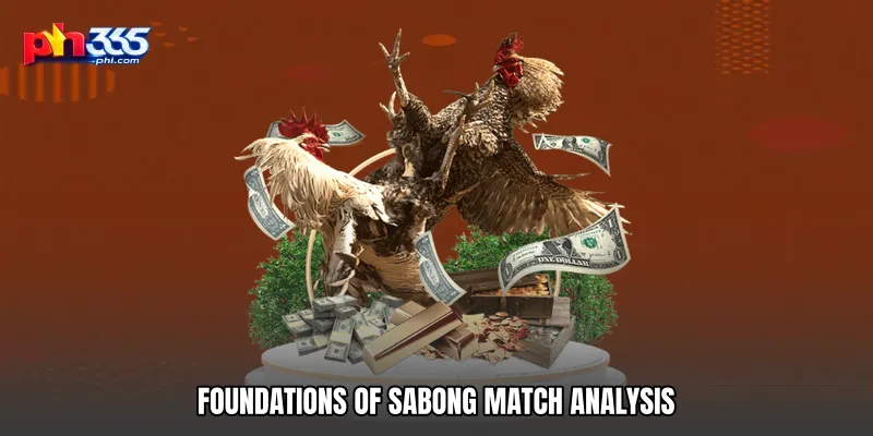 Foundations of Sabong Match Analysis