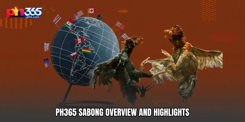 PH365 Sabong Overview and Highlights