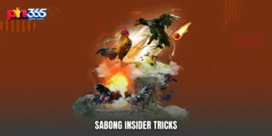 Sabong insider tricks