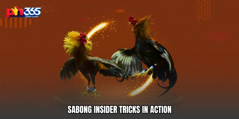 Sabong Insider Tricks in Action
