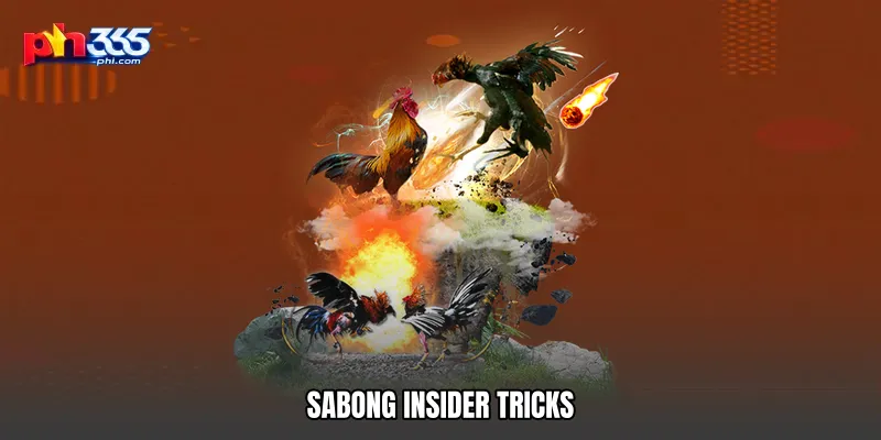 Sabong insider tricks