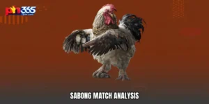 Sabong Match Analysis