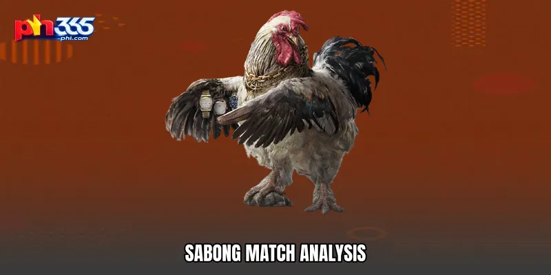 Sabong Match Analysis